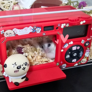 크레 피그미다람쥐 온습도계 은신처 관찰존