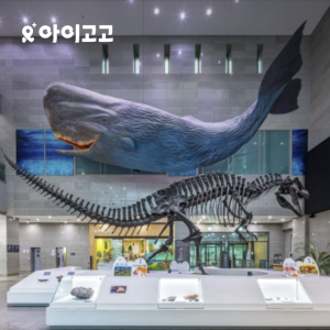 [초등교사자격] 서울 서대문자연사박물관 초등 역사 과학 체험 주말 특강 어린이 역사체험학습 도슨트 해설 수업 by 티처투어