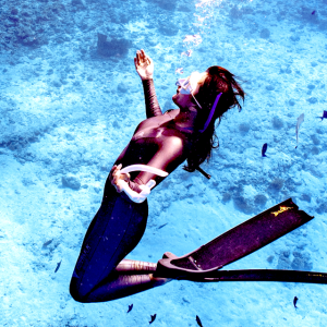 코코다이브 프리다이빙 강습 레벨3 중급 LV3 교육 자격증 서울/용인/경기 PADI PSA