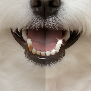 페피릴리프 강아지치약 치석제거 그린애플 2개