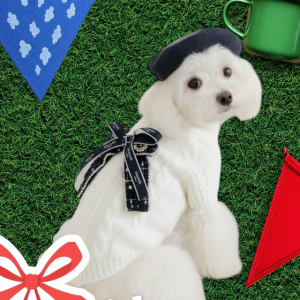 광고 메인 이미지