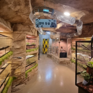 [인천] 실내 동물원 쥬벅스