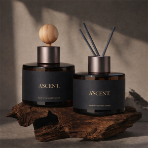 1+1 에이센트 차량용 방향제 120ml