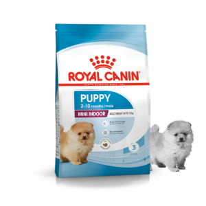 로얄캐닌 강아지사료 실내 생활하는 소형견 미니 인도어 퍼피, 8.7kg, 1개