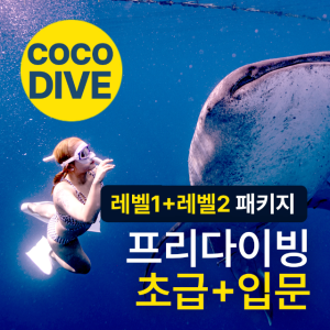 코코다이브 프리다이빙 강습 레벨1 (레벨1+레벨2) 초급+입문 패키지 교육 자격증 서울/용인/경기 PADI PSA