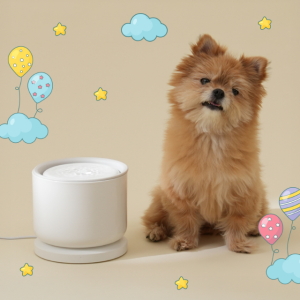 바램펫 웰리2 강아지정수기 저소음 강아지급수기