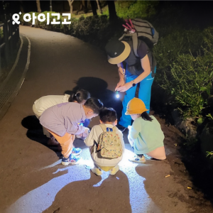 [깨비의숲마을][하남나무고아원] 경기 하남 숲체험 어린이 여름 유아 초등 자연 곤충 주말 방학 체험 학습