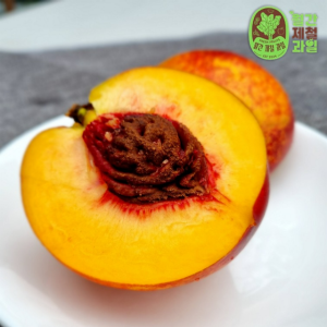물복 물복숭아 오월도 천도복숭아 1kg2kg