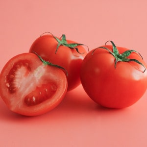 당일경매 토마토 완숙 2.5kg 5kg 유럽종