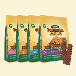 브리젠 굿나잇츄 덴탈츄 강아지 덴탈껌 치석껌 양치껌 입냄새 치석 제거 S, 150g, 1개