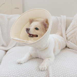 완전 편안한 강아지 고양이 오가닉 구름 넥카라