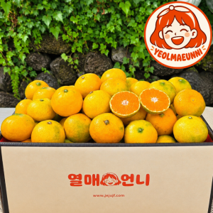 제주 하우스감귤 꼬마과 로얄과 1.5kg 2.5kg 4.5kg