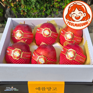 어버이날 고급선물 제주 애플망고