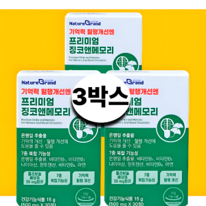 징코 은행잎 혈류 혈행 개선제 품목 3박스