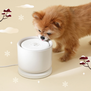 바램펫 웰리2 강아지정수기 저소음 강아지급수기