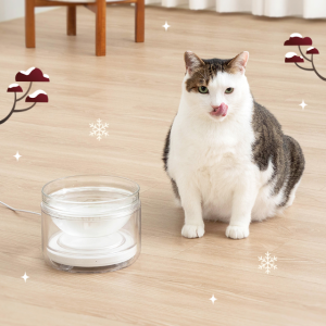 웰리 고양이수반 IoT 고양이 물그릇 유리수반