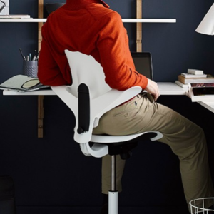 하그 카피스코 8010 펄스 다용도 멀티 체어