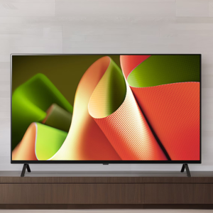 LG 올레드TV 163cm(65인치)