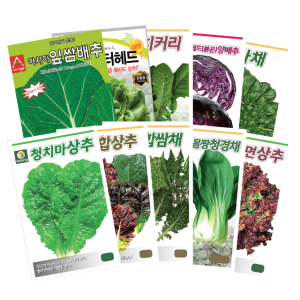 채소씨앗 모음 상추 종자 쌈채 부추 치커리