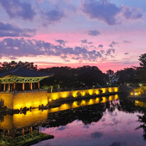 부산 경주 1박 2일 패키지 투어 부모님 효도 여행 단체 관광 코스 전문 국내 2박 3일