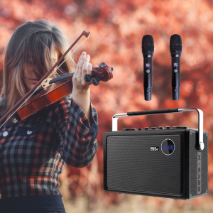 휴대용 포터불 충전 이동식앰프 300W