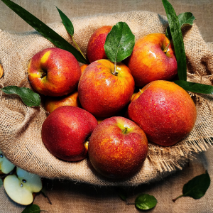 감홍 청송 사과 가정용 흠과