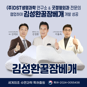 김성환 꿀잠베개 프리미엄 경추 불면증베개 블루