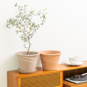 데팡스 대형화분 바숨 듀오