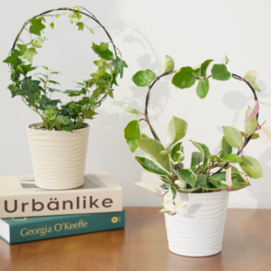 원형 하트형 화분지지대 넝쿨 식물 정리 리스