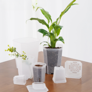 데팡스 투명 사각 슬릿분 미니