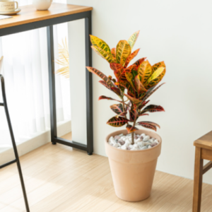 테라코타 빈티지 토분 화분 데로마 바소알토